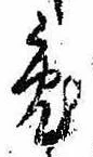 已定位兎