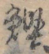位置 確認된 鰹
