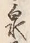 Character 泉
