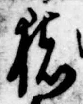 已定位猪
