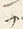 “ン”字
