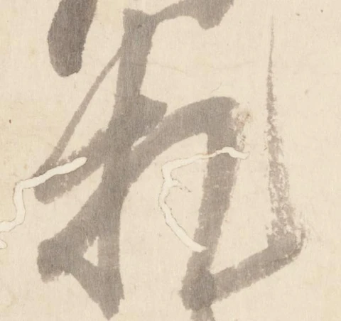 Đã định vị 札