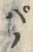 字ぱ