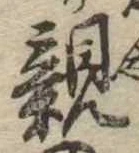已定位親