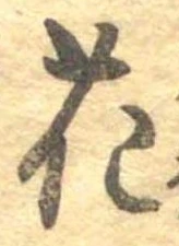 位置 確認된 花