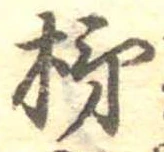 位置定マレル柿