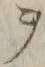 “ヲ”字