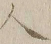“配”字