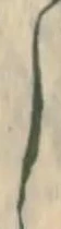 位置 確認된 建