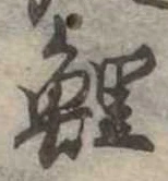 Located 鯉