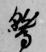 位置 確認된 鷲