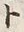 字コ