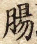 Đã định vị 腸