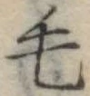 位置定マレル毛