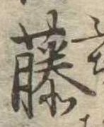 已定位藤