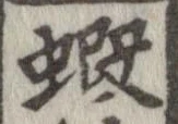 Located 蝦