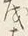 字す
