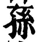 Character 孫