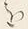 Character 廻