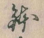位置 確認된 鉢