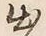 文字出