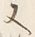 𡨸又