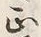 文字剃