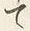 “て”字