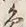 字象