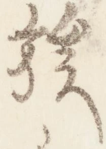 位置定マレル族