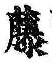 已定位藤
