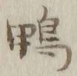 字鴨