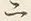 字二