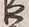 字家