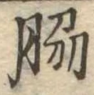 位置定マレル脇