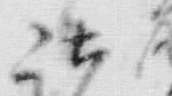 文字 諸