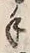 字手