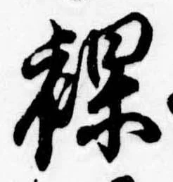 裸の位置