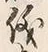 文字 儀