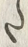 “独”字