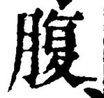 字腹