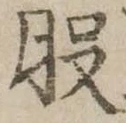 位置定マレル股