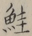 文字鮭