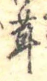 位置定マレル茸