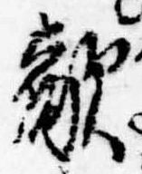 Đã định vị 敵
