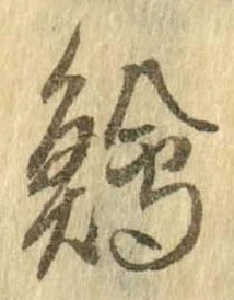 鱠の位置