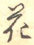 位置 確認된 花