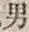 “男”字