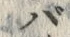 字バ