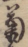 已定位菊